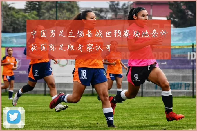 中国男足主场备战世预赛场地条件获国际足联考察认可