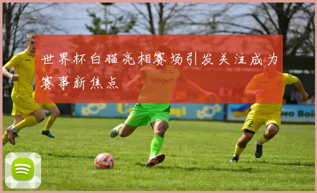 世界杯白猫亮相赛场引发关注成为赛事新焦点