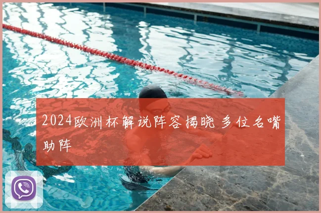 2024欧洲杯解说阵容揭晓 多位名嘴助阵